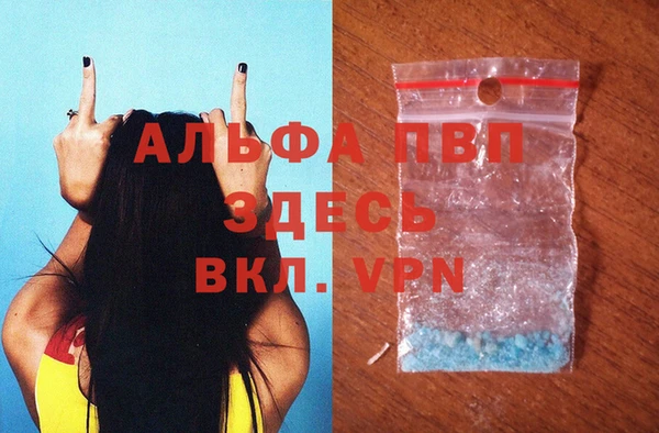 гидра Лихославль
