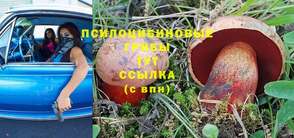 гидра Лихославль