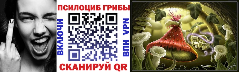 Псилоцибиновые грибы Cubensis  Купить  Мамоново 