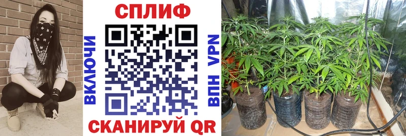 Конопля LSD WEED  Купить закладки  Мамоново 